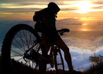 599112_446113132135955_1380729399_n-1